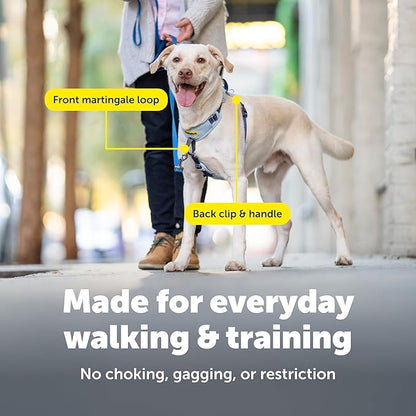 PetSafe Easy Walk Comfort No-Pull Dog Harness - Better Walk Training Harness - Full Body Padded Design - Durable Fabric - 5 Point Adjustable Fit - Everyday Leash Training - Green - X-Small