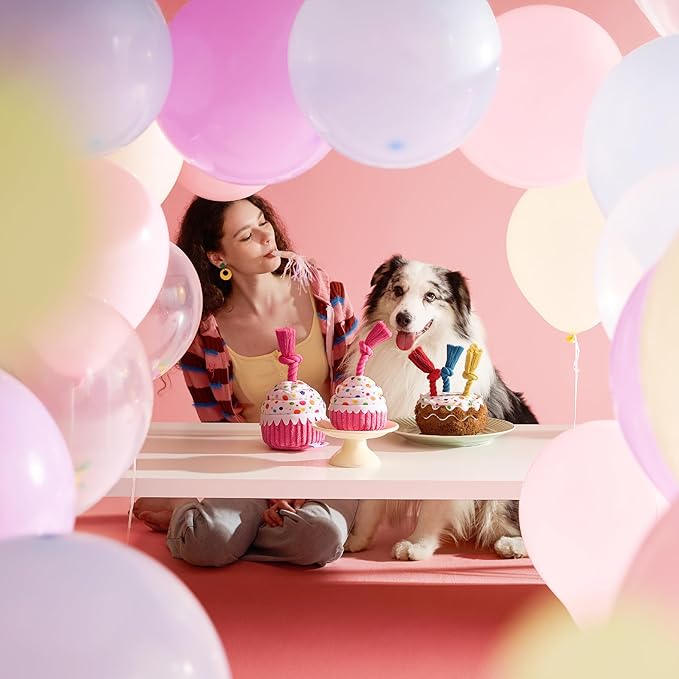 LE SURE Dog Birthday Cake Toy - Cute Squeaky Dog Birthday Toy for Gentle Chewers with Interactive Tug Rope, Plush Interactive Toy for Adult Dogs Birthdays Party, Standard, Milk Chocolate
