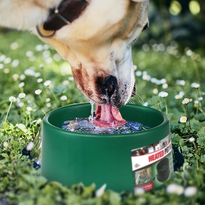 Farm Innovators Heated Pet Water Bowl, 60W Heated Water Dish - 1.5 Gallon Plastic Watering Station with Anti-Chew Cord Protector for Dogs & Cats