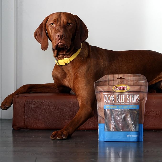 Cadet 100% Beef Strip Long Lasting Chews for Dogs, Single Ingredient Beef Esophagus Dog Treats, Natural High Protein Rawhide Alternative for Small & Large Dogs, 8 Ounce