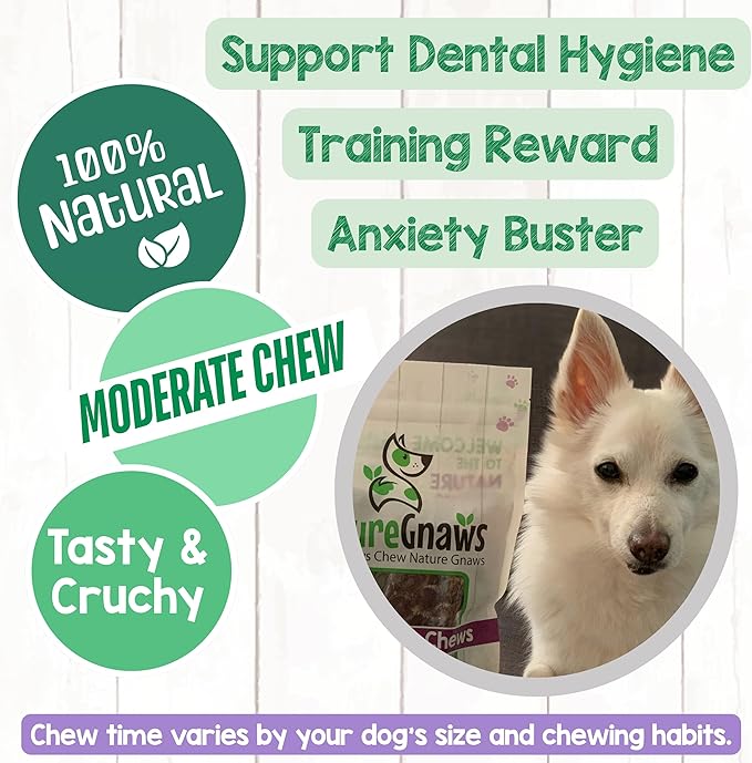 Nature Gnaws Beef Trachea Chews for Dogs 3" (12 Count) - Long Lasting Natural Crunchy Dog Chew Bones - Rawhide Free