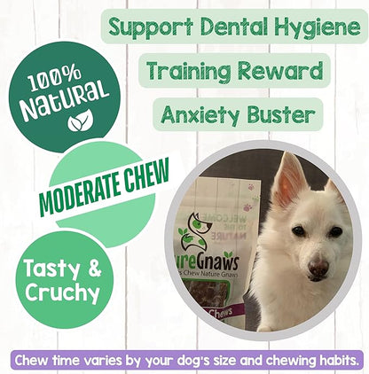 Nature Gnaws Beef Trachea Chews for Dogs 3" (12 Count) - Long Lasting Natural Crunchy Dog Chew Bones - Rawhide Free