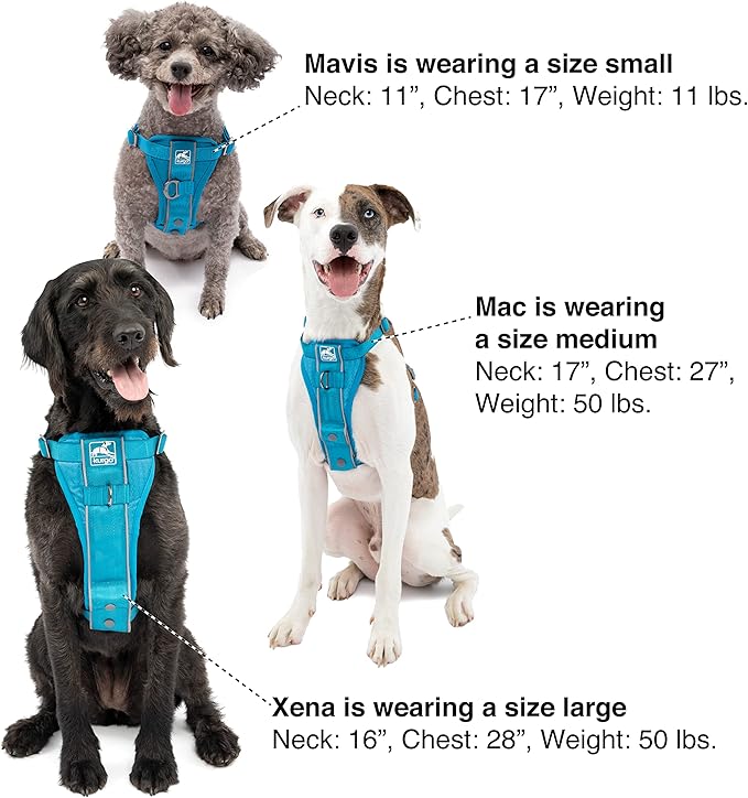 Kurgo Tru-Fit Smart Dog Walking Harness - Comfortable Fit - Adjustable Harness - Reflective Pet Wear - Quick Strap Release - Daily Walk Accessory - Includes Seat Belt Loop - Blue - X-Small