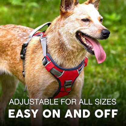 Embark Adventure Small Dog Harness – No-Pull, Reflective Trim, Military-Grade Nylon, Front Clip with Gel-Lined Handle