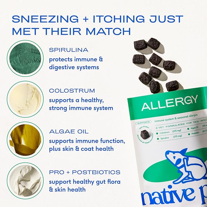 Native Pet Dog Allergy Chews - Dog Allergy Relief for Large Breeds - Supports Seasonal Itch Relief, Healthy Immune Function & Reduces Sneezing - Colostrum, Spirulina, & Probiotics - 30 Days Supply