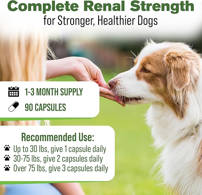 Silver Lining Herbs Kidney Support for Dogs – Natural Herbal Canine Kidney Cleanse & Bladder Support Supplement with Cranberry & Astragalus - Urinary Tract Health & Renal Vitamins – 90 Capsules