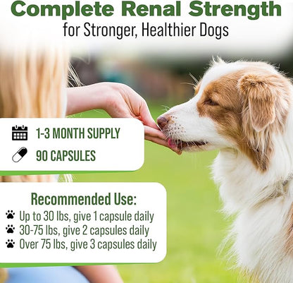 Silver Lining Herbs Kidney Support for Dogs – Natural Herbal Canine Kidney Cleanse & Bladder Support Supplement with Cranberry & Astragalus - Urinary Tract Health & Renal Vitamins – 90 Capsules