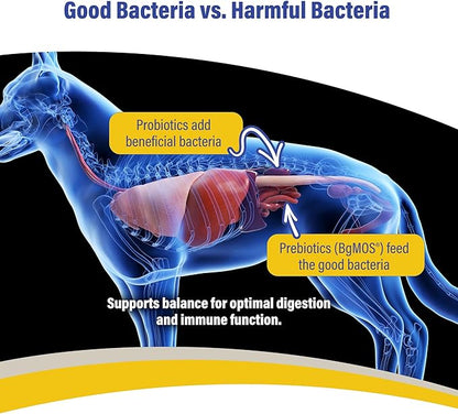 Doc Roy’s GI Synbiotics Probiotic & Prebiotic Supplemental Gel for Dogs & Cats, Digestive & Immune Health Supplement with Live Cultures, BgMOS & Beta Glucans, Chicken Flavor, 30ml Oral Gel