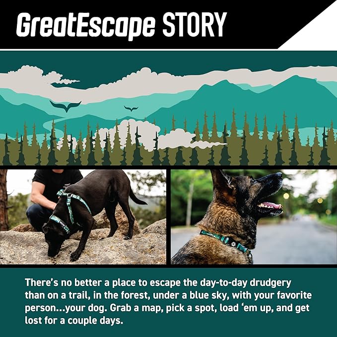 Wolfgang 8093093 6 in. Green Great Escape Polyester Dog Leash Medium & Large