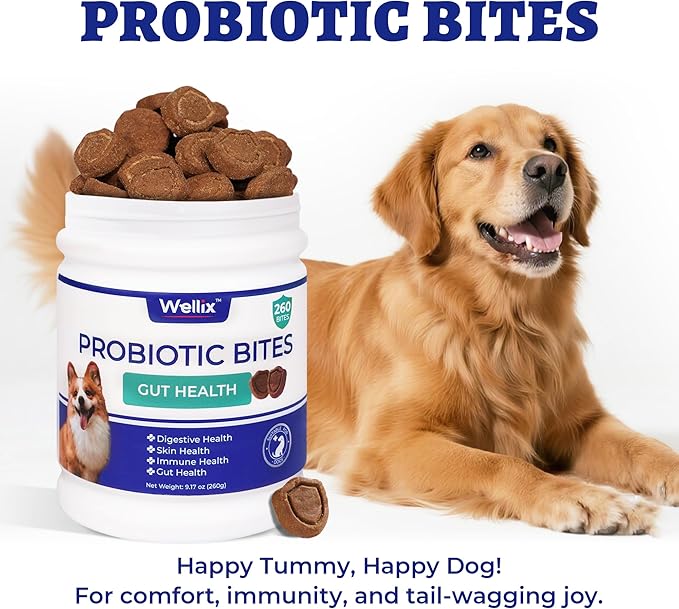 Wellix 260 Bites Probiotics for Dogs - Dog Probiotics and Prebiotics with Pumkin - Improve Digestive Health, Allergies and Itchy Skin Relief Natural Gut Health Supplements for Small Medium Senior Dog