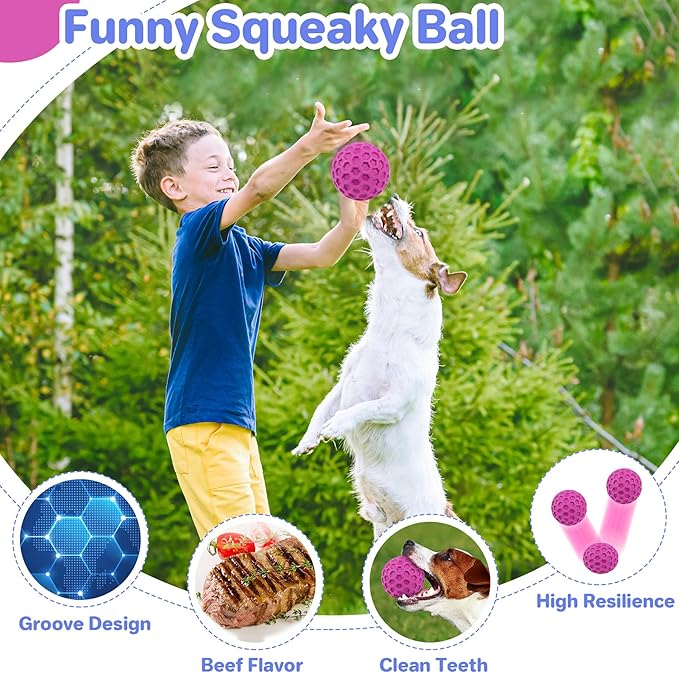Tough Squeaky Dog Balls Puppy Toys, Interactive Dog Toys for Small Dogs, Puppy Chew Toys for Teething and Relax, Dogs Chew Toy Small Balls Dog Toys for Small Breed, Outdoor Dog Toy for Dogs