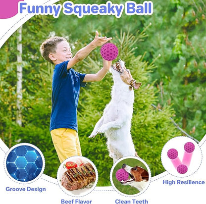 Indestructible Squeaky Dog Balls, Dog Toys for Aggressive Chewers Large Breed for Relieving Anxiety, Tough Dog Chew Toys Balls for Aggressive Chewers, Outdoor Squeaky Cognitive Dog Toys