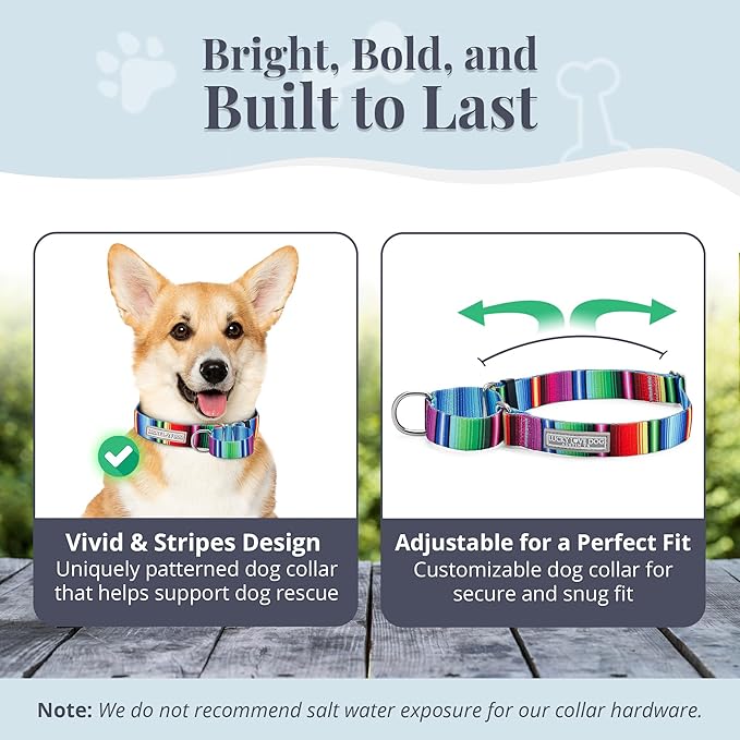 Lucky Love Dog Martingale Dog Collar & Leash - Adjustable, No-Slip, Durable, Comfortable, Soft Webbing, & Stylish Patterned Collar & Leash Set for Male and Female Dogs - Nacho Combo, Small