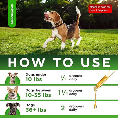 Dog Antibiotics for Infections, Cough, & Itching | Natural Antibiotics for Dogs for All Ages to Promote Wound Healing | Dog UTI Treatment and Tooth Infection Treatment | Chicken Flavor | 2 Oz