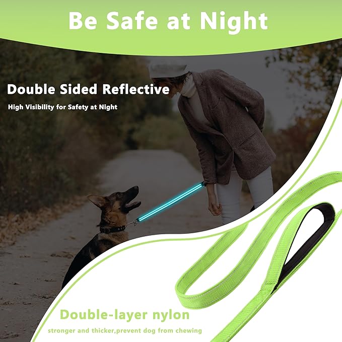 Dog Leash 5ft Long, Double Handle Dog Leash for Safety Control Training, Heavy Duty Dog Leads with Traffic Padded Handles, Reflective Leashes for Small Medium Large Dogs(5ft, Green)