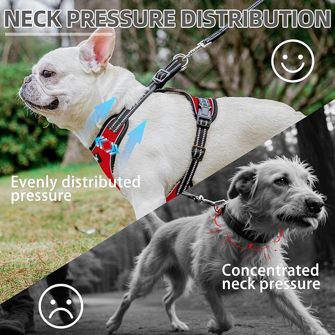 PUPTECK Dog Harness and Leash Set Medium Sized, Adjustable Reflective Escape Proof Puppy Vest, No Pull Walking Harness Easy Control