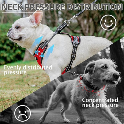 PUPTECK Dog Harness and Leash Set Small Sized, Adjustable Reflective Escape Proof Puppy Vest, No Pull Walking Harness Easy Control