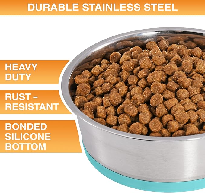 Neater Pet Brands Stainless Steel Dog Bowls with Non-Slip Rubber Bottom – Set of 2, 8 Cup (64 oz), Teal - Heavy Duty Metal Dog Bowl, Dishwasher Safe, Food or Water Bowl, Ideal for Large Dogs