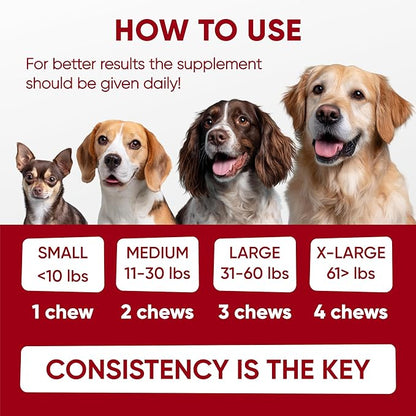 Probiotics for Dogs Digestive Health - Probiotic Chews for Gut Health, Itchy Skin Yeast, Diarrhea - USA Product - Immune Support Supplement - Dog Digestive Support & Allergy Relief Chews with Enzymes