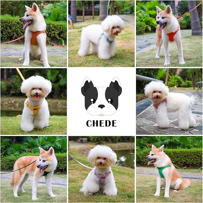CHEDE No Pull Puppy Harness and Multifunction Dog Leash Set- 8 Colors Soft Adjustable No Choke Escape Proof Cute,Lightweight Pet Vest Harness for Small and Medium Dog (M, Blue)