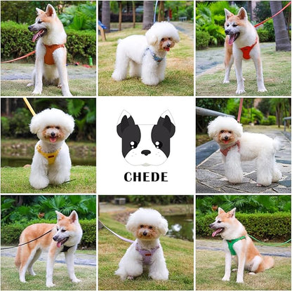 CHEDE No Pull Puppy Harness and Multifunction Dog Leash Set- 8 Colors Soft Adjustable No Choke Escape Proof Cute,Lightweight Pet Vest Harness for Small and Medium Dog (XS, Red)