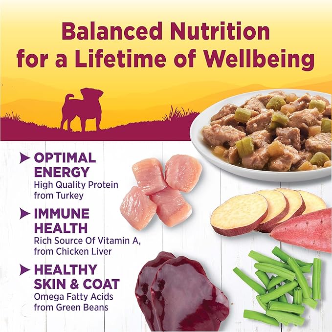 Wellness Petite Entrees Mini Filets Small Breed Adult Wet Dog Food, Grain Free, Natural, Tender Turkey, Green Beans, and White Sweet Potato, 3 oz, Pack of 12 Cups