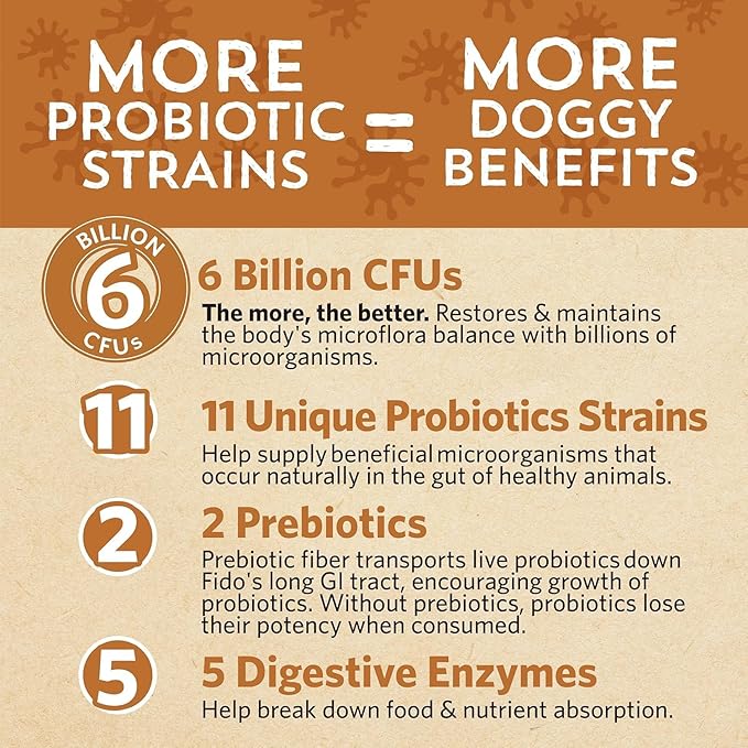 Fidobiotics Good Guts for Medium Mutts Probiotic for Dogs, 6 Billion CFUs, 11 Strains, 5 Digestive Enzymes, 2 Prebiotics, Digestive Gut Health for Dogs, Adult & Puppy Probiotics Supplements, Pack of 2
