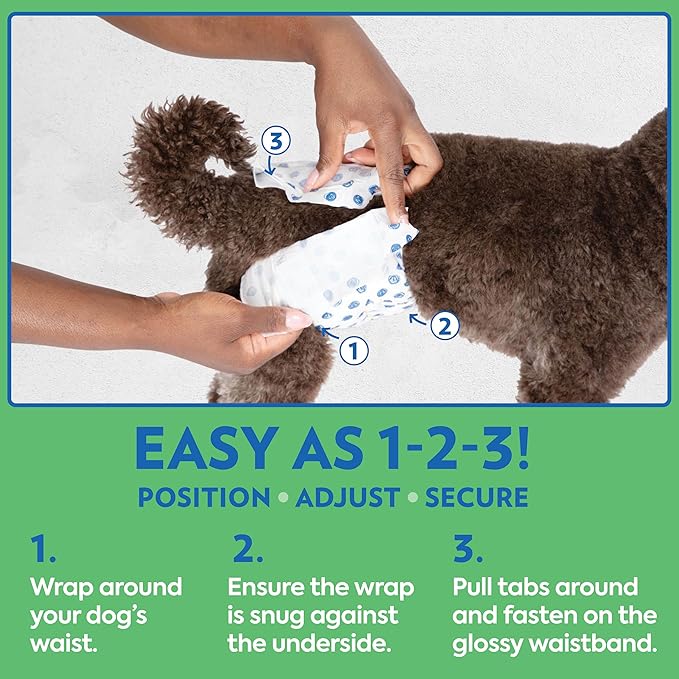 Out! PetCare Disposable Dog Diapers Male,Puppy Belly Band,Potty Training,Doggie Diapers,Belly Bands for Male Dogs,Puppy Training,Incontinence,(XS/S,32ct),(Pack of 2)