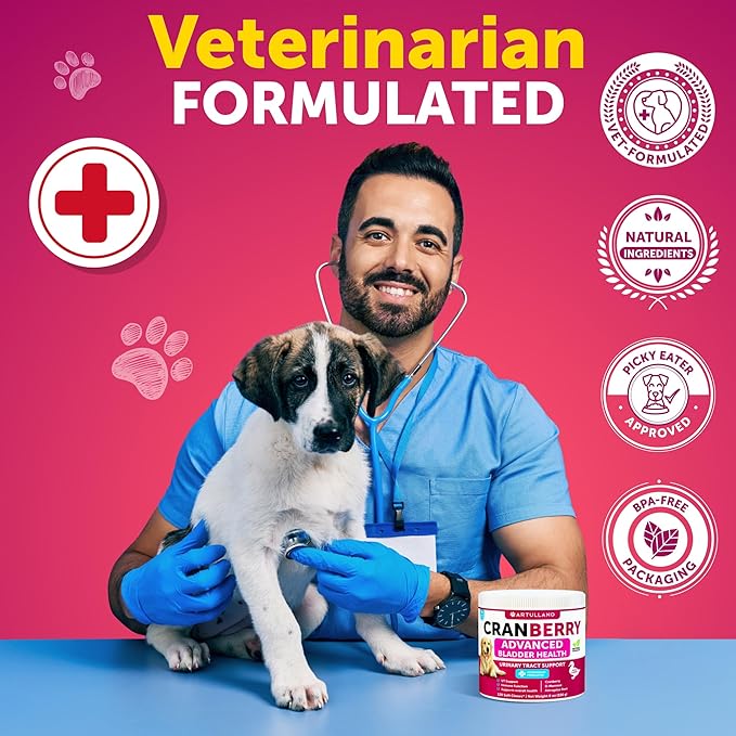 2 Pack (240 Chews Total) Dog UT Treats - Cranberry Chews for Dogs - Urinary Tract & Bladder Support Supplement with Natural Cranberry Extract - Tasty Soft Bites with Fish Oil, Pumpkin, D-Mannose