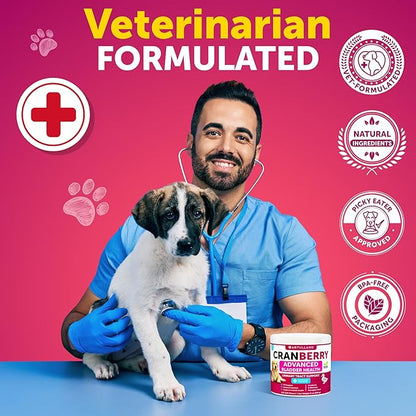 2 Pack (240 Chews Total) Dog UT Treats - Cranberry Chews for Dogs - Urinary Tract & Bladder Support Supplement with Natural Cranberry Extract - Tasty Soft Bites with Fish Oil, Pumpkin, D-Mannose