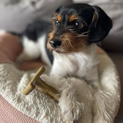 SPOT Bam-Bones Plus T Bone – Bamboo Fiber & Nylon Dog Chew Toy for Moderate to Aggressive Chewers, Durable & Non-Splintering, Long Lasting Beef Flavor Toy for Dogs & Puppies Under 30 lbs, 4 in