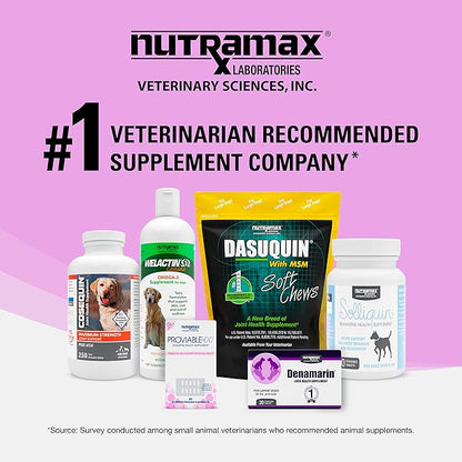 Nutramax Laboratories Denosyl for Dogs and Cats, Liver Health Supplement for Cats and Small Dogs, with S-adenosylmethionine (SAMe), Stabilized Tablets, 30 Count