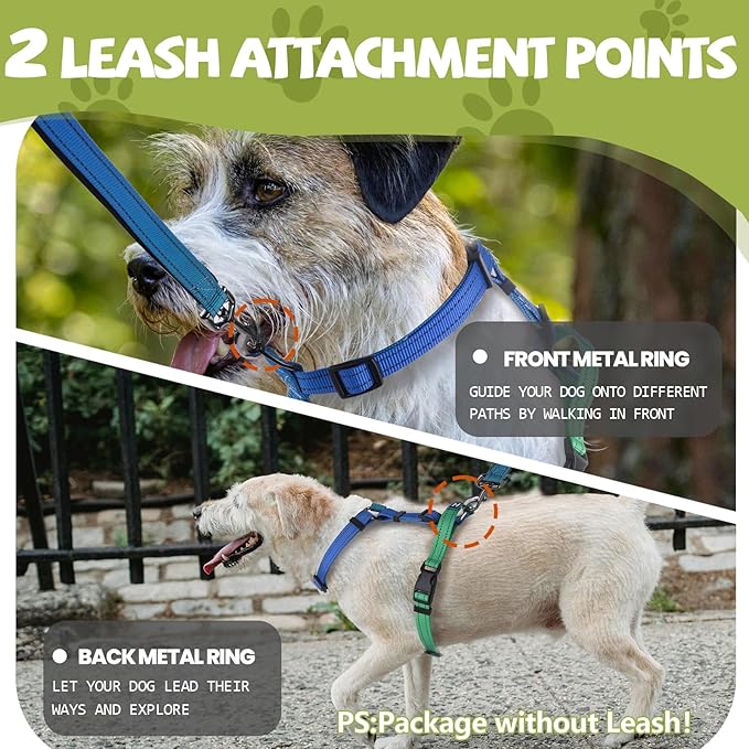 Roses&Poetry Dog Harness Small Sized Dog, 6 Point Adjustable Fit No Pull Harness with Handle for Control and Easy Walking, Reflective Pet Halter Harnesses（Bluegreen-S）