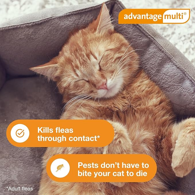 Advantage Multi for Cats 5-in-1 Heartworm Prevention | Kills Fleas & More | Cats 5.1-9 lbs. | 6-Month Supply