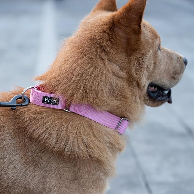 Hyhug Martingale Collar for Dogs Small Pink |Escape - Proof Heavy Duty Nylon Durable No Buckle, Ideal for Training & Daily Walks