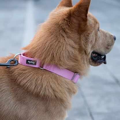 Hyhug Martingale Collar for Dogs Small Pink |Escape - Proof Heavy Duty Nylon Durable No Buckle, Ideal for Training & Daily Walks