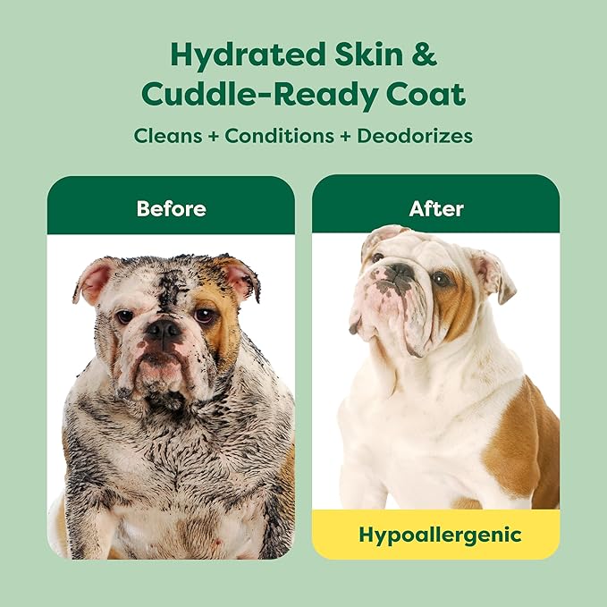 Earth Rated Hypoallergenic 3-in-1 Soothing Dog Shampoo & Conditioner for Dogs & Puppies, Deodorizing, 98.5% Natural Origin Ingredients, 16 oz