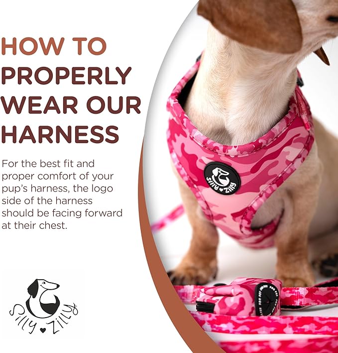 No Pull Harness and Leash Set - 6-in-1 Adjustable Vest Harness and Collars for Medium and Large Dogs. (Military Pink, Extra Small)