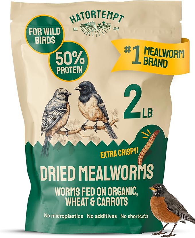 Hatortempt 2lb Dried Mealworms for Chickens - 50% Protein and 32% Essential Fats to Support Healthy Feather Growth During Molt - Organic Treats for Chickens, Ducks, Wild Birds & Reptiles