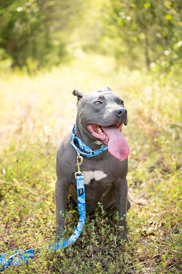 Country Brook Petz - Blue Bone Camo Martingale Dog Collar and Leash - Camouflage Collection Featuring Rugged Designs (5/8 Inch, Small)