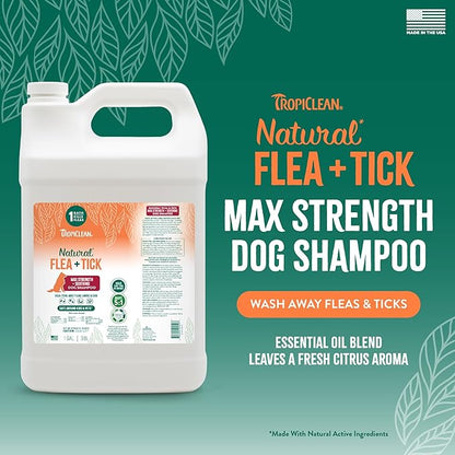 TropiClean Max Strength Flea and Tick Shampoo Treatment for Dogs, Powerful & Natural Defense, Prevention for Large & Small Dogs, Made in USA, 1GAL