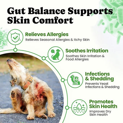 Probiotics for Dogs - Digestive & Gut Health for Sensitive Stomachs ，Dog Probiotics Powder for Skin & Coat, Breath and Immunity with 11 Strains, 4 Prebiotics, 5 Enzymes, Pumpkin, 60 Packets, Chicken