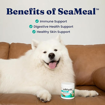 Solid Gold SeaMeal Cat Probiotic & Dog Probiotics for Digestive Health - Kelp Powder Dog & Cat Multivitamin Supplement w/Prebiotics & Digestive Enzymes for Skin, Coat, & Gut + Immune Support - 3.5oz