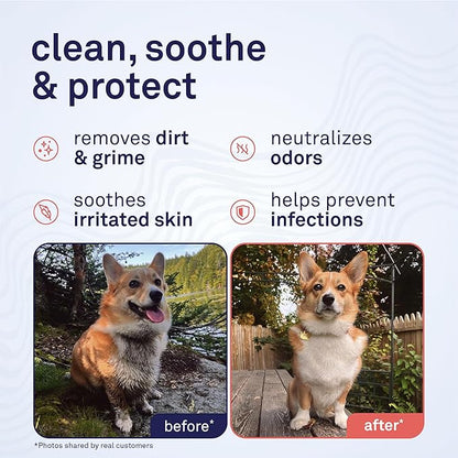 Petpost Large Grooming Wipes for Dogs | 70 Count Deodorizing Dog Cleaning Wipes with Coconut Extract & Aloe | Gentle Pet Wipes with Cherry Blossom Scent for Full-Body Grooming