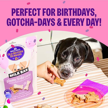 Wellness Old Mother Hubbard Milk Bar P'Nutty B-Day Party Dog Biscuits, Natural Treats, Peanut Butter Flavor with Birthday Icing, 10 oz Bag