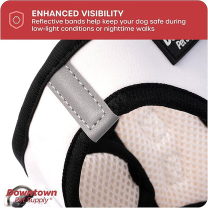 Downtown Pet Supply Step in Dog Harness for Small Dogs No Pull, Small, Doodle - Adjustable Harness with Padded Mesh Fabric and Reflective Trim - Buckle Strap Harness for Dogs