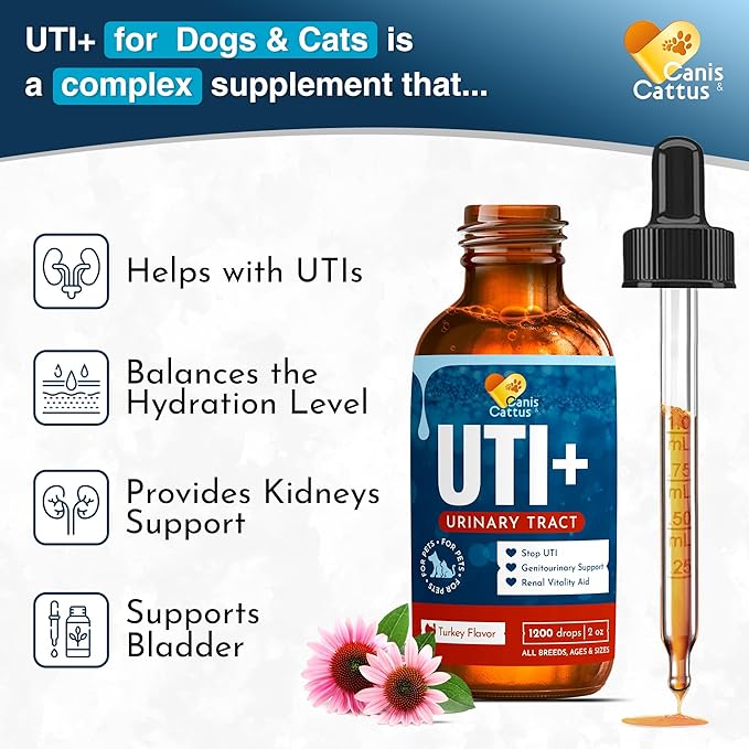 Dog UTI Treatment – Liquid Cat & Dog Vitamins – Bundle Multivitamin + UTI+ with Turkey Flavor for All Pets – Promotes Bladder & Kidney Care – Full of Vitamins C, B, D – No GMO – Bottle Set x 2 oz