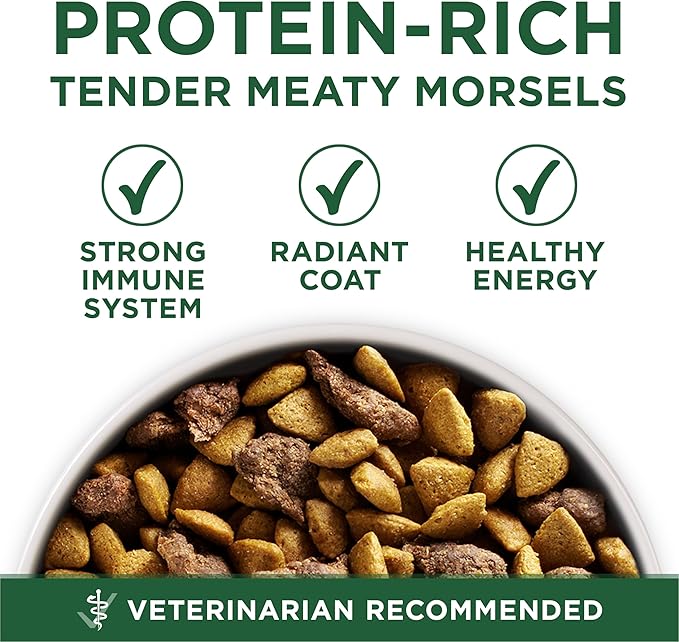 Purina One Small Breed Plus High-Protein Dog Food Lamb and Rice Formula Dry Dog Food - 15 lb. Bag