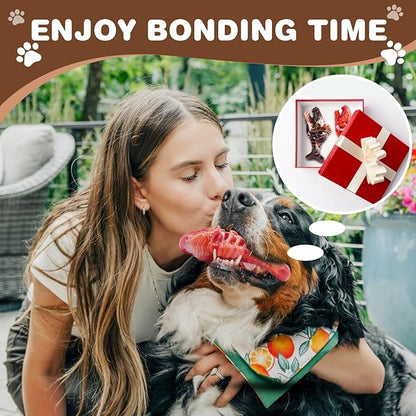 BoYoYo Tough Dog Toys for Aggressive Chewers 2 Pack, Indestructible Dog Toys to Keep Them Busy, Beef Flavor Nylon Dog Chew Toys for Large Dogs