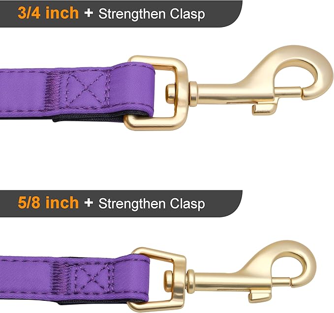 Didog Colorful Soft Padded Nylon Dog Collar & 5FT Dog Leash Set for Medium Dogs
